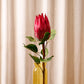 Protea Red Flower