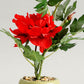 Carmine Potted Plants